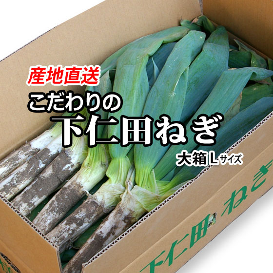 ◆送料無料◆佐藤さんの下仁田ねぎ 大箱Lサイズ(約28本) 群馬県甘楽郡下仁田町小坂産 生産者直送!!期間限定!! *注意事項あり
