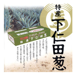 画像1: ◆送料無料◆堀口さんの下仁田ねぎ Mサイズ20本 群馬県甘楽郡下仁田町馬山産 生産者直送!!期間限定!!